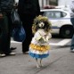 Hola, esta es mi barbet Pamela, no juega nunca,me gruñe, cuando la paseo por la calle a veces se pone en pie y camina unos segundos asi